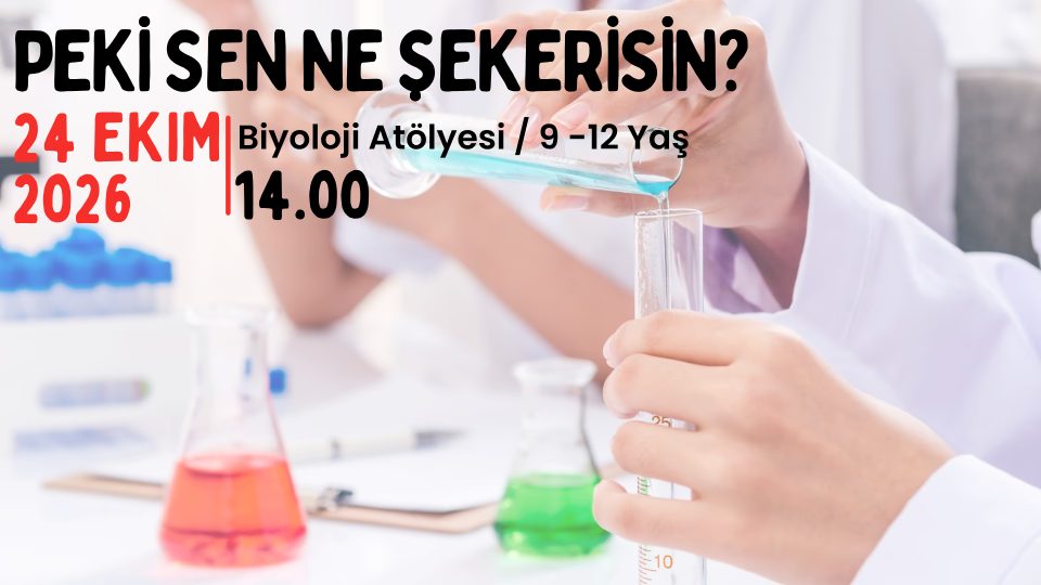 Peki Sen Ne Şekerisin? 9-12 Yaş