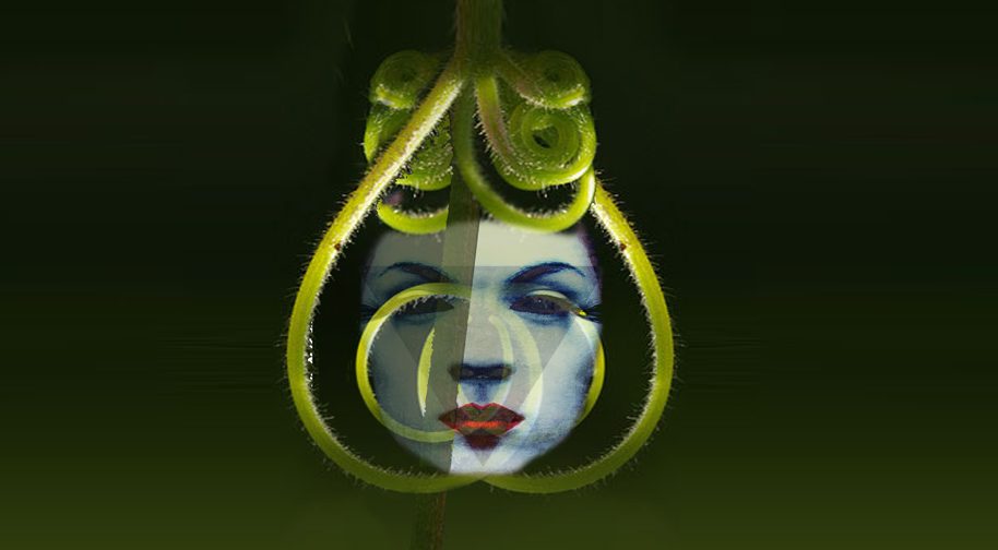 Kozmoz Opera Halkası & Kozmoz Bale Halkası - Sevgi Konseri