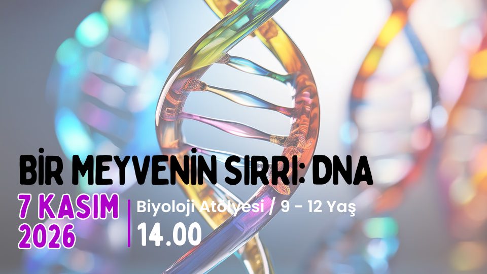 Bir Meyvenin Sırrı : DNA 9-12 Yaş
