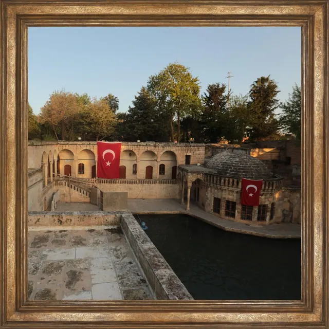 Tasarım 156