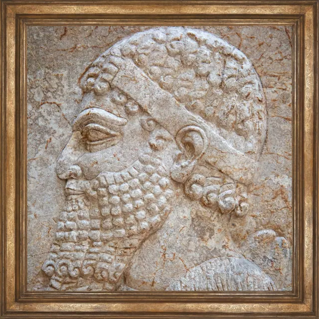 Tasarım 224
