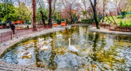 ankara’da-huzurun-adresi:-kugulu-park-|-fixbilet-blog