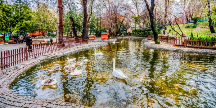 ankara’da-huzurun-adresi:-kugulu-park-|-fixbilet-blog