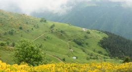 samsun-kamp-alanlari-|-samsun’da-kamp-yapilacak-en-iyi-21-yer!-–-fixbilet-blog