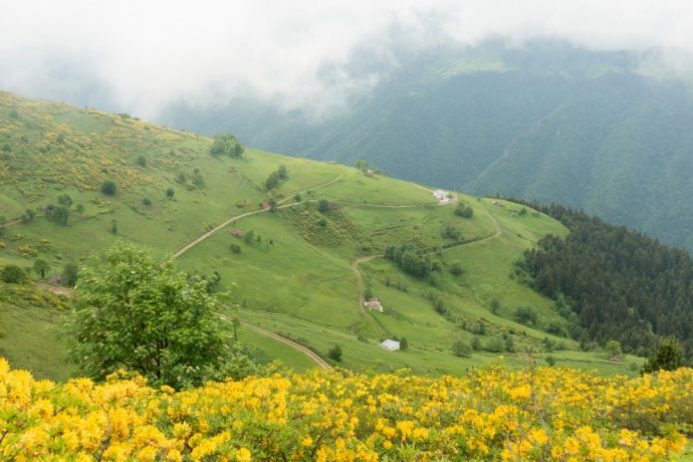 samsun-kamp-alanlari-|-samsun’da-kamp-yapilacak-en-iyi-21-yer!-–-fixbilet-blog