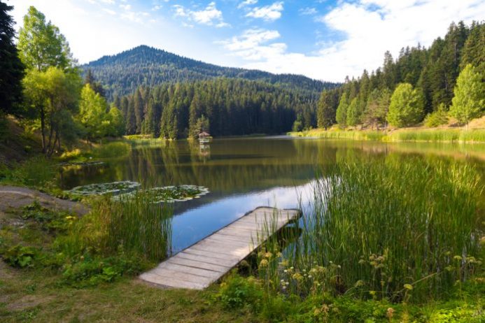 sinop-kamp-alanlari-|-sinop’da-kamp-yapilacak-en-iyi-19-yer!-–-fixbilet-blog