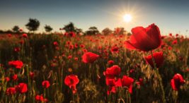 afyon'da-ne-yapilir-&-mutlaka-yapilmasi-gereken-30-aktivite|-fixbilet-blog