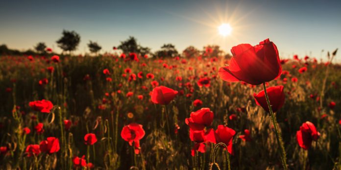 afyon'da-ne-yapilir-&-mutlaka-yapilmasi-gereken-30-aktivite|-fixbilet-blog