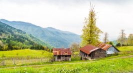 duzce-kamp-alanlari-|-duzce’de-kamp-yapilacak-en-iyi-34-yer!-–-fixbilet-blog