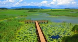 duzce-gezilecek-yerler-|-52-doga-harikasi-yer-(detayli)-|-fixbilet-blog