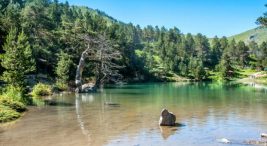 gumushane-kamp-alanlari-–-gumushane’de-kamp-yapilacak-en-iyi-19-yer!-–-fixbilet-blog