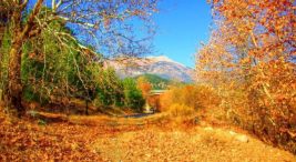 adana-kamp-alanlari-|-adana-kamp-yapilacak-en-iyi-18-yer!-–-fixbilet-blog