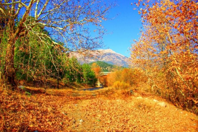 adana-kamp-alanlari-|-adana-kamp-yapilacak-en-iyi-18-yer!-–-fixbilet-blog