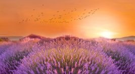 isparta'da-ne-yapilir?-yapilacak-heyecan-verici-33-aktivite-|-fixbilet-blog