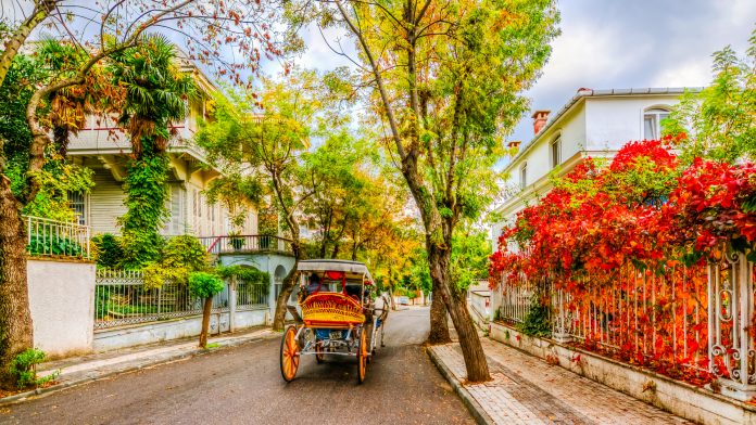 buyukada'da-gezilecek-yerler-listesi-|-en-muhtesem-36-yer-|-fixbilet-blog