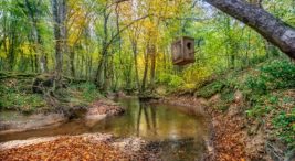 igneada-kamp-alanlari-|-igneada’da-kamp-yapilacak-en-iyi-12-yer!-–-fixbilet-blog