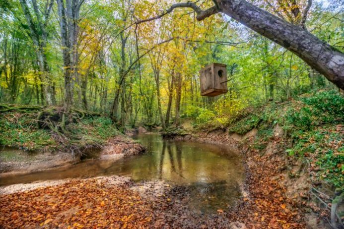 igneada-kamp-alanlari-|-igneada’da-kamp-yapilacak-en-iyi-12-yer!-–-fixbilet-blog