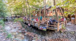 masukiye'de-ne-yenir,-nerede-yenir?-masukiye'nin-en-iyi-yeme-icme-mekanlari-|-fixbilet-blog