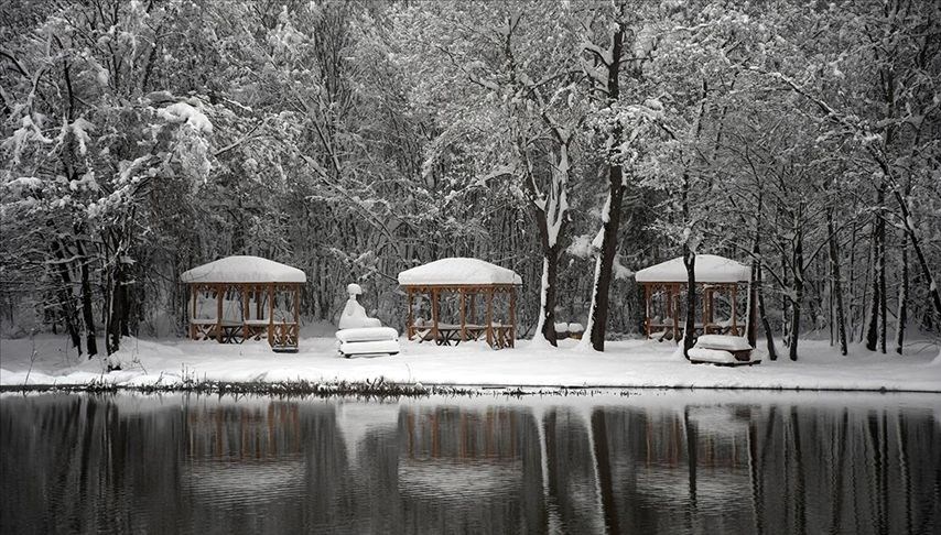 duzce’deki-korugol-tabiat-parki-beyaza-burundu