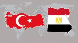 turkiye-misir'la-iliskilerini-guclendirebilir-–-ethem-daplan
