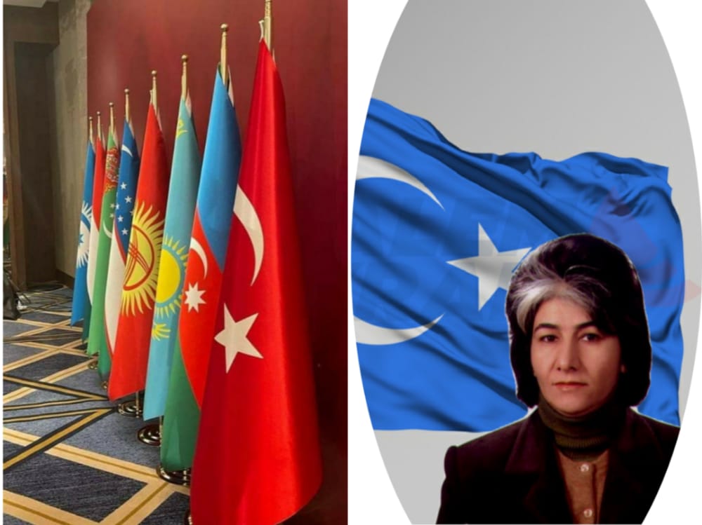 ogr.-uyesi-sevil-irevanli:-kuzey-makedonya'da-nufus-sayimi-ve-cozulemeyen-kor-dugun