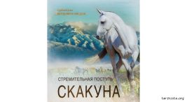 turkmen-ati-'akhal-teke'nin-sani-uzerine