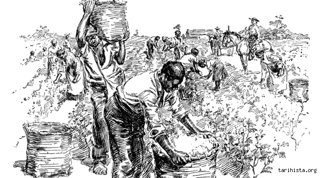 kahve-ve-somurgeciligin-kisa-tarihi