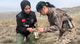 kadin-polisler,-sehit-kadin-polislerin-anisina-fidan-dikti