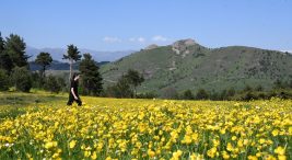 limni golu’nde-turizm-sezonu-acildi