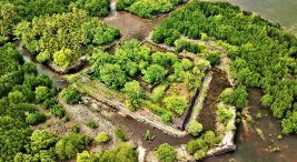 okyanusun-ortasindaki-hayalet-sehirin-gizemi-ortaya-cikiyor