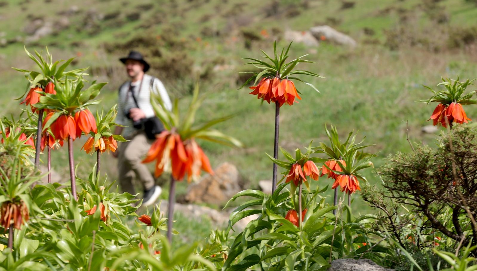 hakkari’deki sivisk-vadisi-buyuk-ilgi-goruyor