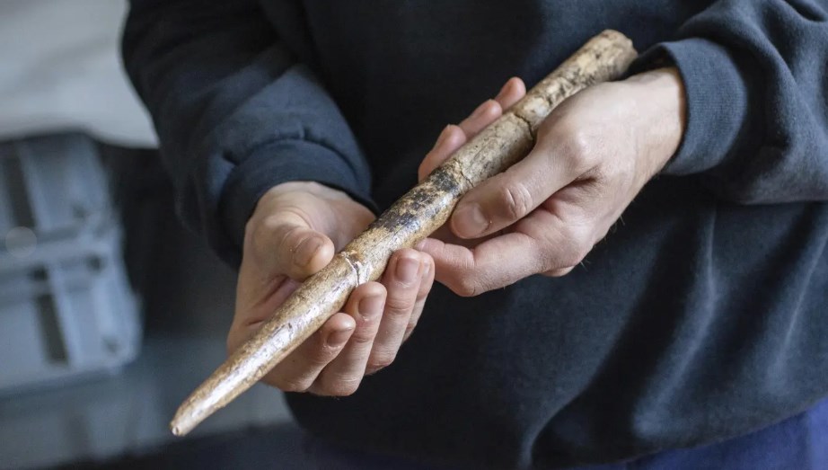 20-bin-yillik-balina-aletleri-bulundu:-ispanya-kiyilarinda-tarihi-kesif