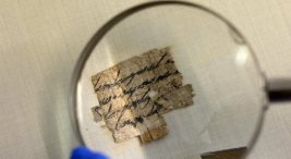 bin-900-yillik-papiruste-vergi-kacirma-davasi