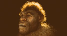 insanlik-tarihinin-kokeni-degisiyor:-afrika-degil,-dogu-asya’da-ortaya-cikmis!