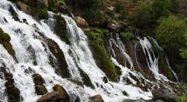 tomara selalesi-dogaseverlerin-adresi-oldu