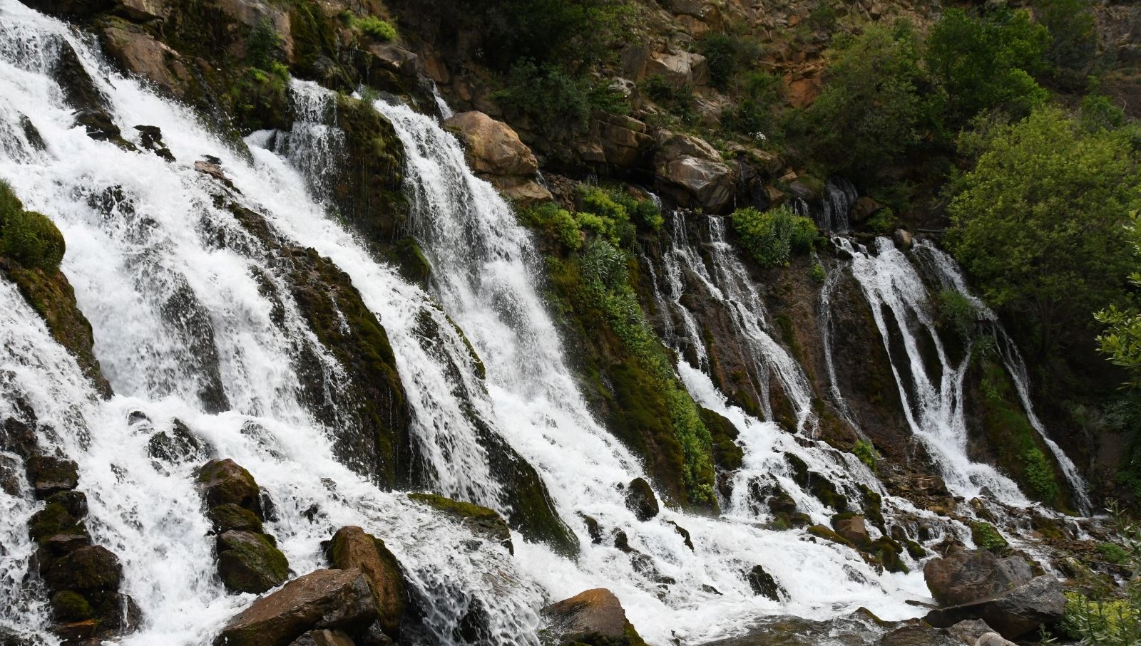 tomara selalesi-dogaseverlerin-adresi-oldu