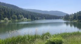 golcuk-tabiat-parki’na ziyaretci-akini