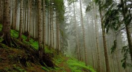 gumushane’nin-sakli-cenneti:-santa-harabeleri-zamanda-yolculuk-yaptiriyor