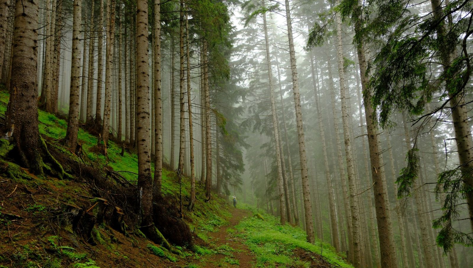 gumushane’nin-sakli-cenneti:-santa-harabeleri-zamanda-yolculuk-yaptiriyor