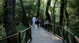 cakirlar-korusu’ne-ziyaretciler-akin-ediyor