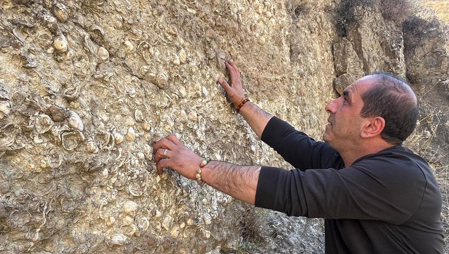 erzurum’da-bulundu:-200-milyon-yil-oncesine-ait