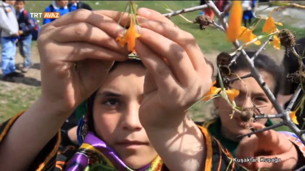 Çiğdem Aşı Geleneği Nedir? – Ankara – Kuşaktan Kuşağa –